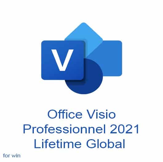 Officee Visio Professionnel 2021 Lifetime Global the license